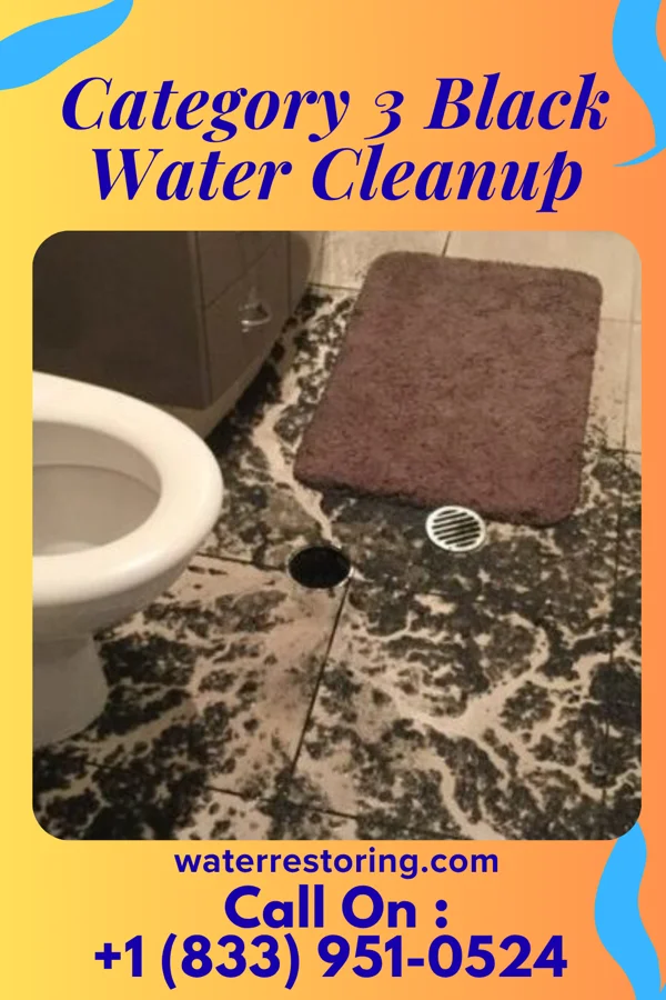 Category 3 Black Water Cleanup in Antioch, GA