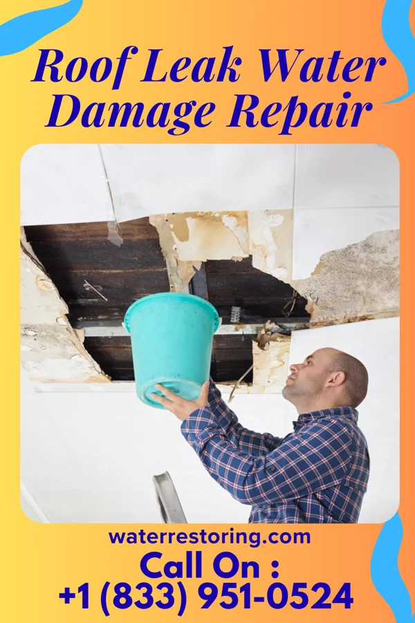 Roof Leak Water Damage Repair in Antioch, GA